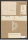 Amphora delphina Bail. (de-Toni-Nr.: Genus 36, Species 1540) Zeichnungen Sammlung Grunow Nr. 2963 (NHMW-BOT-W0370323)